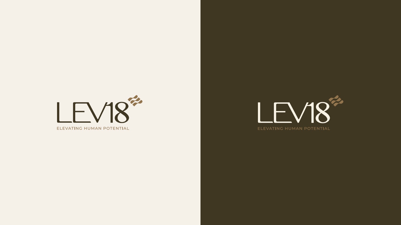 LEV18 brand deck — página 12