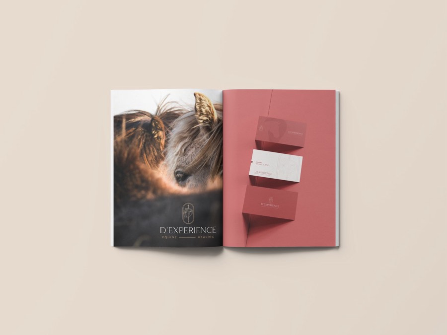 Sebgency brand work